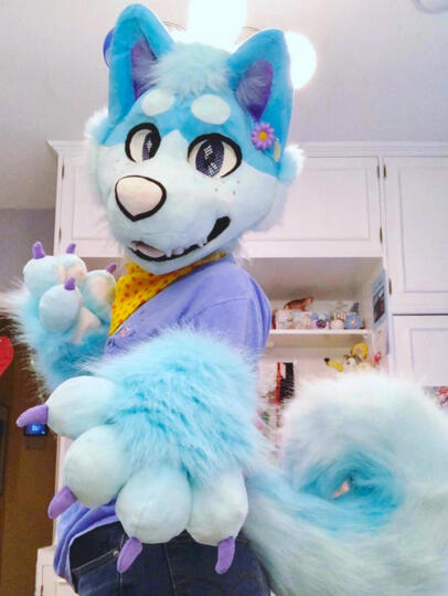 Partial Fursuit